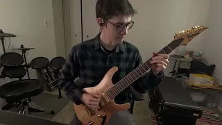 Steely Dan - Do It Again guitar solo (cover)