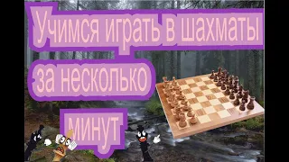 Обучение шахматам с нуля.Урок 2 (Как ходят фигуры)