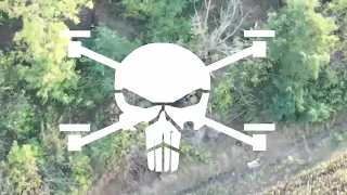 Один насичений день важкої роботи Flying Skull