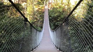 Lynn Canyon Park | Lynn Canyon Suspension Bridge | North Vancouver BC 🇨🇦🇨🇦🇨🇦