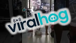 Cat Likes When Human Pushes Her on Slick Floors || ViralHog