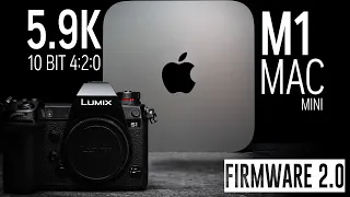 Editing NEW Panasonic S1 5.9K on M1 Mac Mini (10 Bit 4:2:0) - EASY Work!