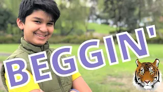 Måneskin - Beggin' | Cover by Ryan Lobo (Madcon original)