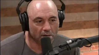 Joe Rogan | Living a Life of Quiet Desperation