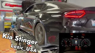 Lozic_USA  KIA Stinger 33t Ecu tune