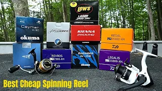 Best Cheap Spinning Reel 2021