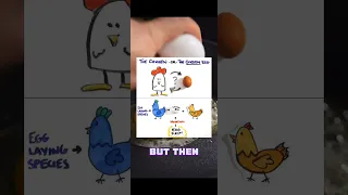 Cool Random Fact 😎🐥 | Chicken or The Egg? #shorts #facts #pastlives