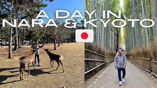 Japan 2024: A Day in Nara and Kyoto 🇯🇵 | STEVENTRAVELS