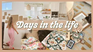 DAYS IN THE LIFE | home projects, thrift haul, & making homemade jam!