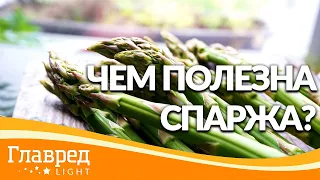 Чем полезна спаржа?