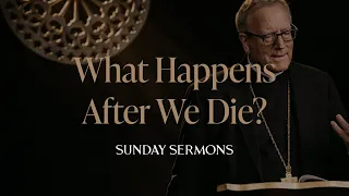 What Happens After We Die? - Bishop Barron's Sunday Sermon