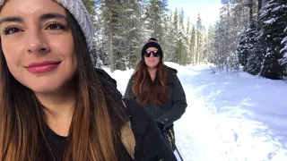 Trillium lake, OR 2016