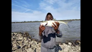 Skipjack King!!!| Biggest Skipjack I've caught with MJ JIGS!!!