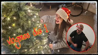 AL FIN LLEGÓ! 🤩🎅🎄 Armamos el arbolito - Vlogmas día 1