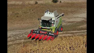 CLAAS Tucano 440  Hungary Pocsaj    2023.10.10.    4K