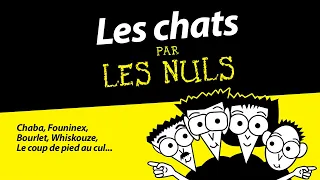 LES CHATS par Les Nuls | Canal+