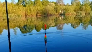 Рыбалка на поплавок. АКТИВНЫЙ КЛЁВ КАРАСЯ