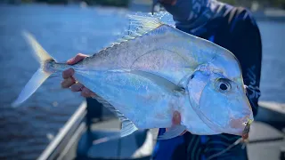 CRACKER Session On The Noosa River!! | Jewie and Trevally