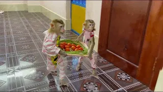 Sovan & Sovanny Walk To Take Veggies To Mom To Eat Together Very Sweet & Juicy ,