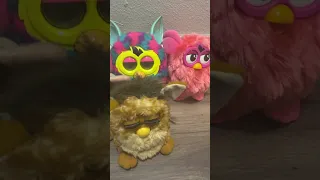 New Furbys… and Florbys? #shorts #furby #tatothepotato