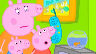 Goldie The Fish Is Unwell 🐠 | Peppa Pig Official Full Episodes