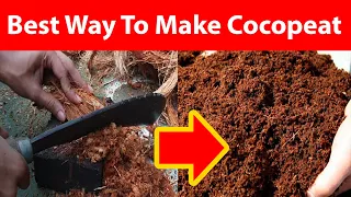 Easy Way To Make Cocopeat At Home