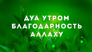 Дуа Утром Благодарность Аллаху - ОЧЕНЬ МНОГО ПОЛЬЗЫ СЛУШАЙТЕ ЭТО ДУА УТРОМ