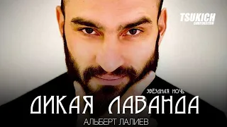 Альберт Лалиев, Сабина Икаева - Звёздная ночь