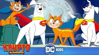 Krypto The Superdog em Português 🇧🇷 | Krypto e Streaky Salvam o Dia |  DC Kids