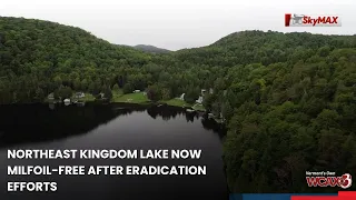 Northeast Kingdom lake now milfoil-free after eradication efforts