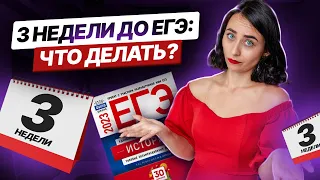 3 недели до егэ: как успеть «поднять» от 20 баллов? | История ЕГЭ 2023 | Умскул