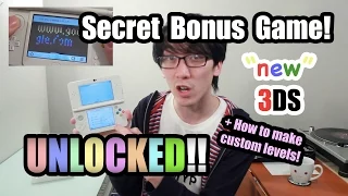 New 3DS SECRET BONUS Game + How to make Custom Levels!