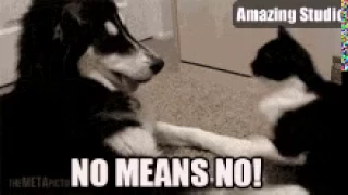 Funny GIFs 62