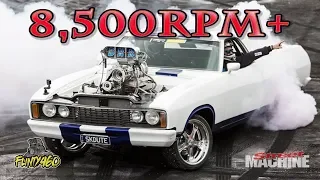 SKDUTE || 8,500RPM+ OF SCREAMING SMALL BLOCK FORD!!!