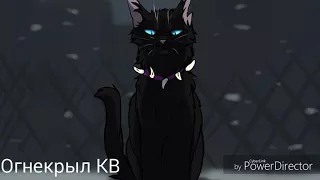 {Коты-Воители}||▪□Огнезвезд и Бич□▪||[Босс теперь он]||~С Новым годом! + 160 подписчиков~