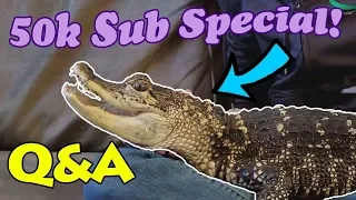 All About my Alligator! (50k Sub Special)