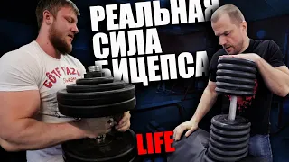 Реальная сила бицепса или как не надо тренироваться! LIFE