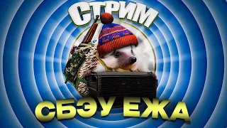 💯Отмечаю День Рождения🦔И Разваливаю Эпицентр! 💯