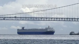 (HDR) HARU MARU NO. 6 Ro Ro Cargo 2021.9.22  BRAW 1.5Xcrop