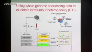 Cmero M (2017): Investigating the evolution of structural variation in cancer