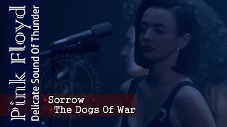 Pink Floyd - Sorrow / The Dogs Of War | Nassau 1988 - Re-edited 2019 | Subs SPA-ENG