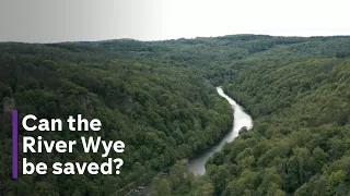 Living by a ‘dying river’ - how pollution has put the Wye into decline