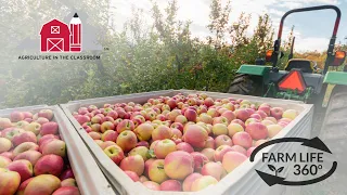 Farm Life 360º - Virginia Apple Orchard