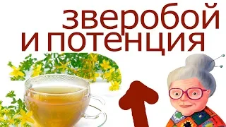 Влияние ЗВЕРОБОЯ на "МУЖСКУЮ СИЛУ". Лечебные Свойства ЗВЕРОБОЯ. Древние Рецепты Снадобий из ЗВЕРОБОЯ