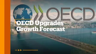 OECD upgrades global economic outlook for 2024-25