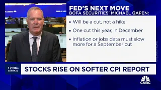 CPI takes risk of rate hikes off the table but doesn't bring cuts any closer: BofA's Michael Gapen