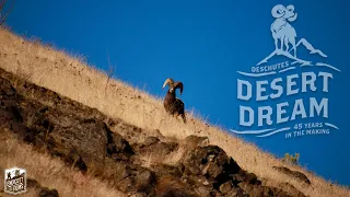 "Desert Dream” (Trailer) - Official Selection, 2023 Full Draw Film Tour