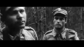 Плечом к плечу 1968 Военная драма Военное Кино