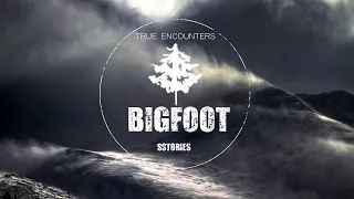 I Was So Close To Becoming Another Missing Person BIGFOOT Victim | SASQUATCH ENCOUNTERS