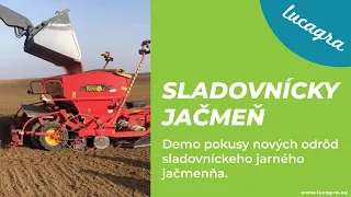 Demo pokusy nových odrôd sladovníckeho jarného jačmeňa.